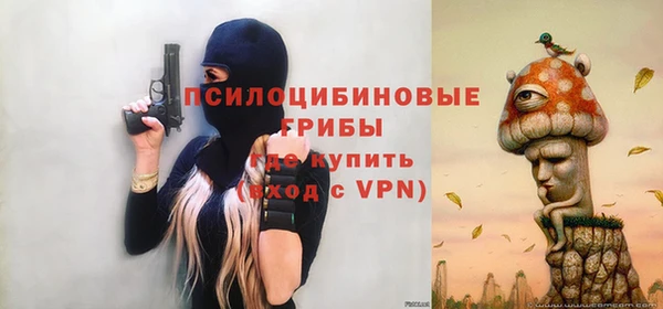 дурь Арсеньев