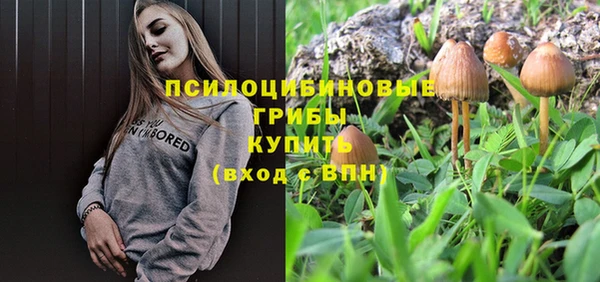 ALPHA-PVP Армянск