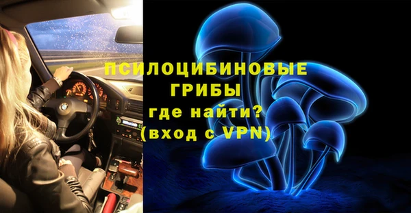 дурь Арсеньев