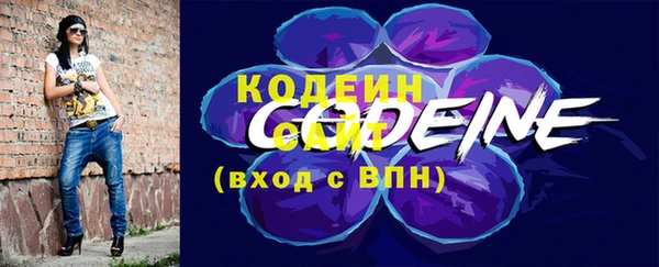дурь Арсеньев
