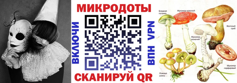 Псилоцибиновые грибы Psilocybine cubensis  Купить закладки  Гдов 